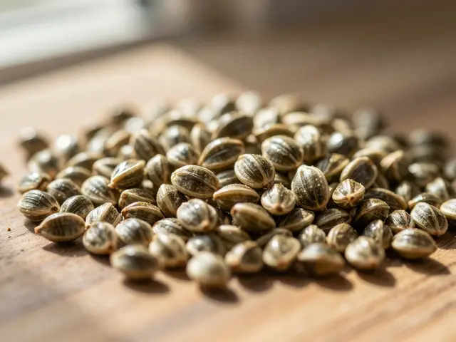 Proč má konopí jinou chuť?