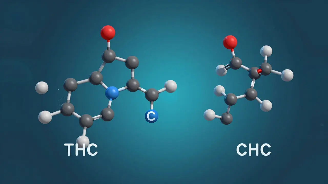 Co je PHC cannabinoid? Vše, co potřebujete vědět o nové látce ve světě kannabinoidů