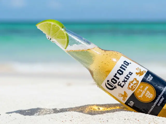 Je Corona pivo s chmelem? Skutečná složení a mýty o pivu