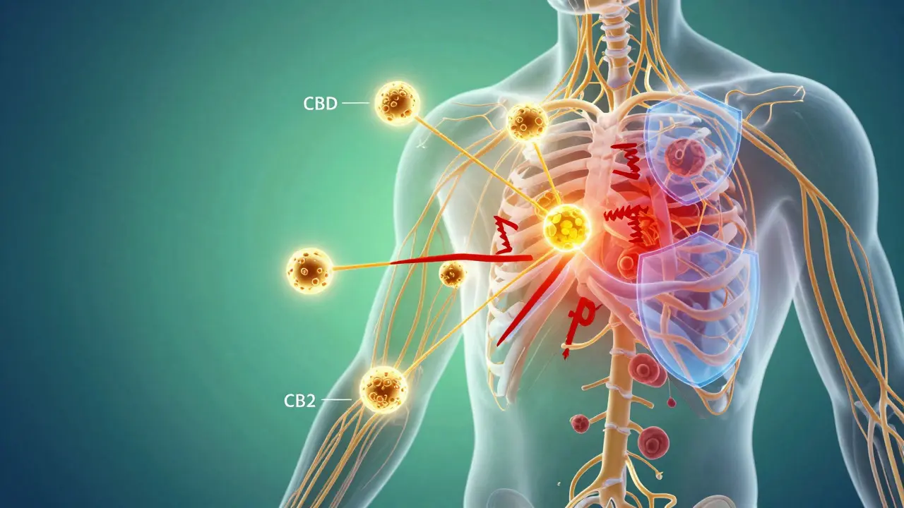 Illustration of CBD molecules interacting with nerve receptors