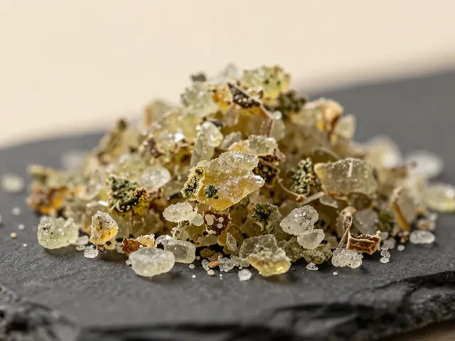 Jak správně konzumovat CBD crumble: Průvodce pro začátečníky